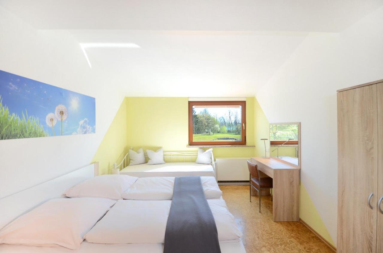 Flat Strasbourg - Europapark / Wallaston Offenbourg